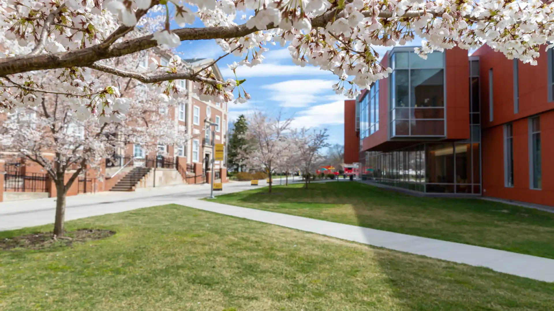 Adelphi University, Garden City and Manhattan Campus, New York