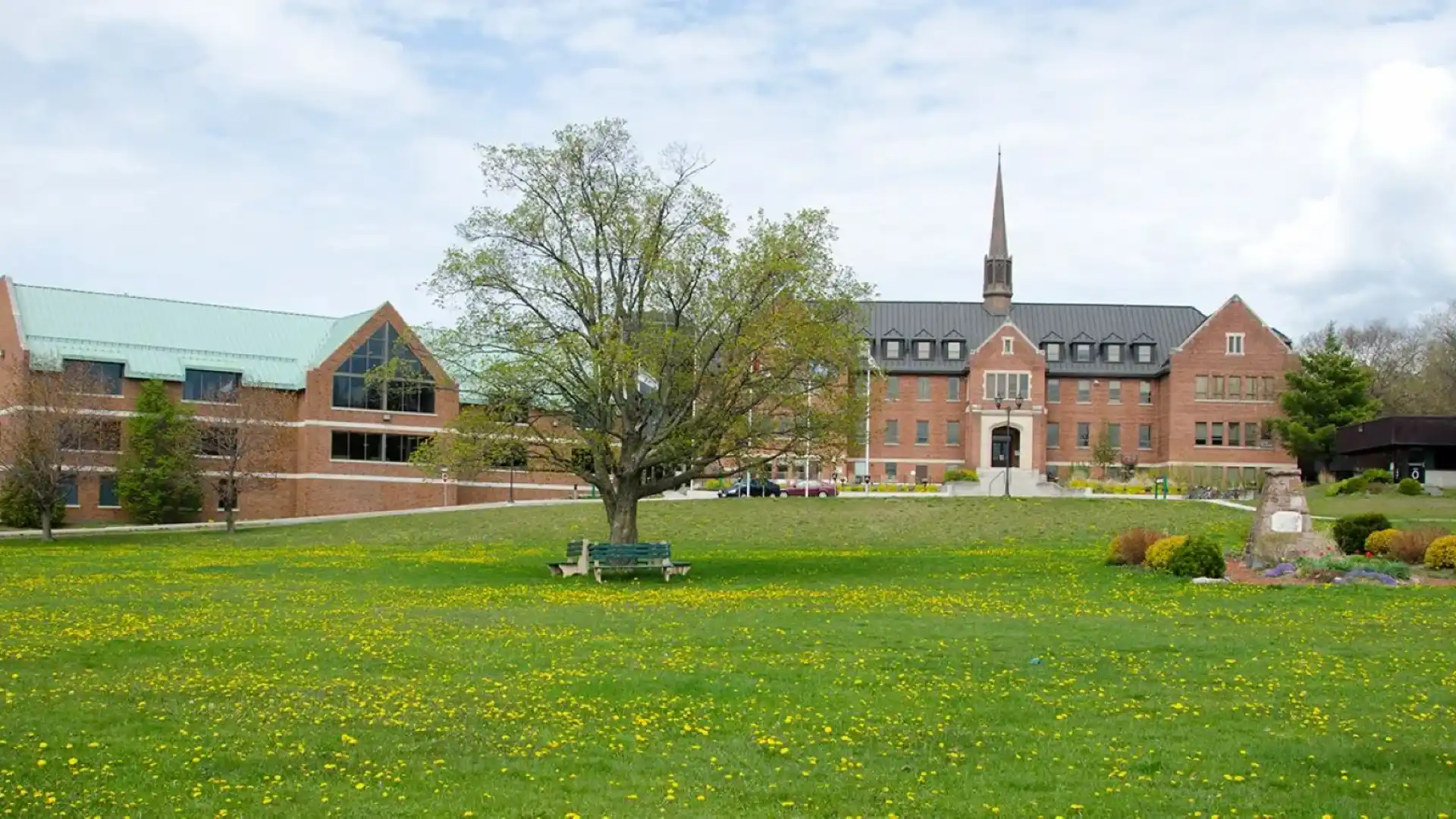 Algoma University