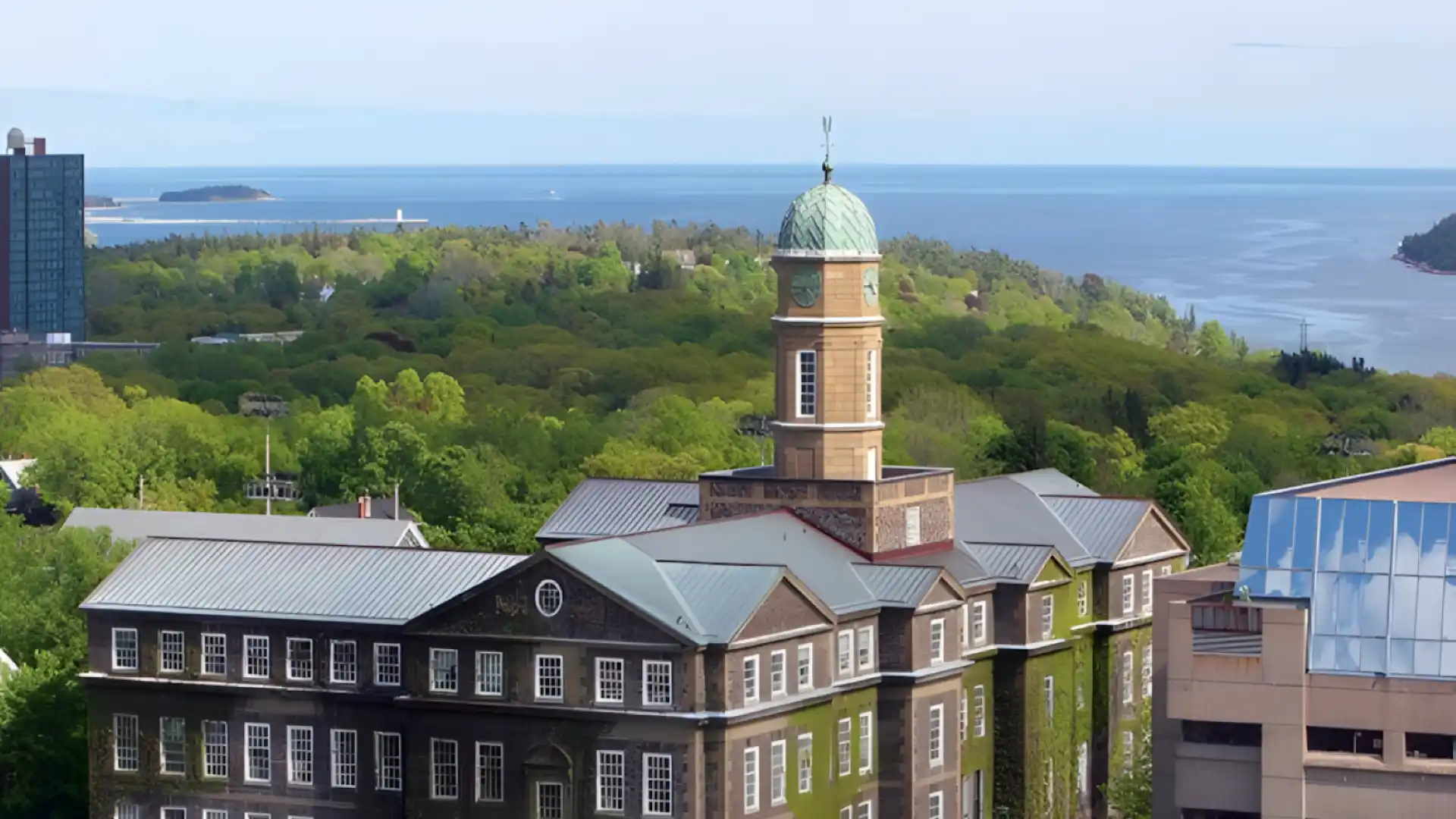 Dalhousie University