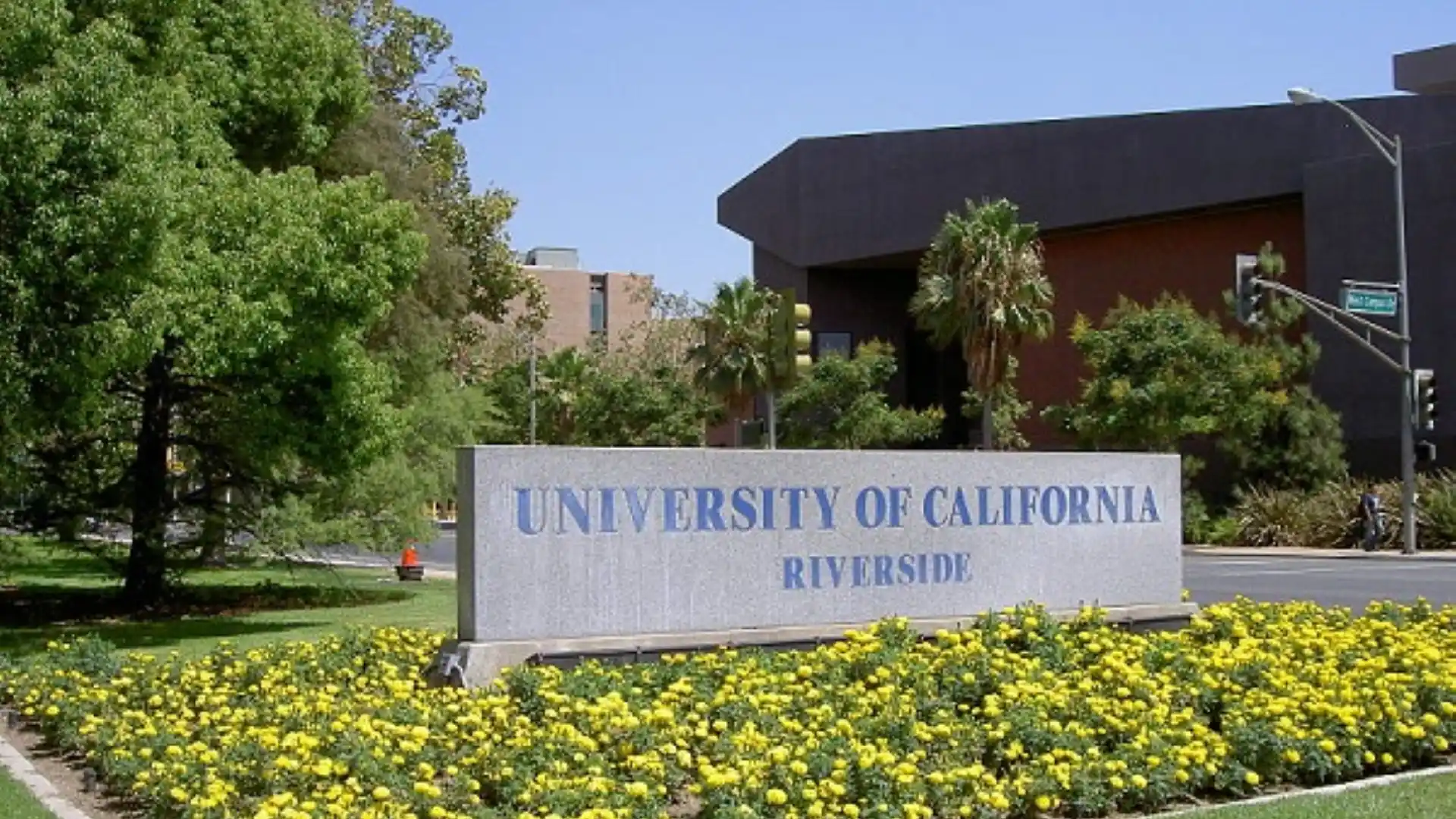 University of California, Riverside