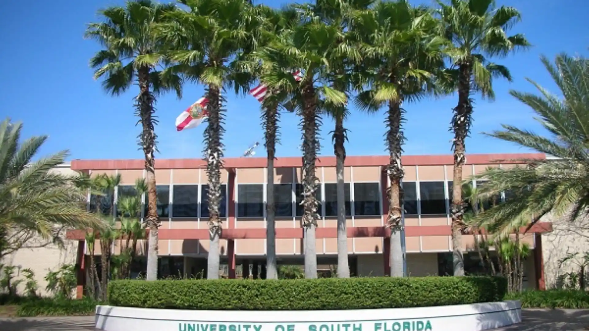 University of South Florida, Tampa, Florida