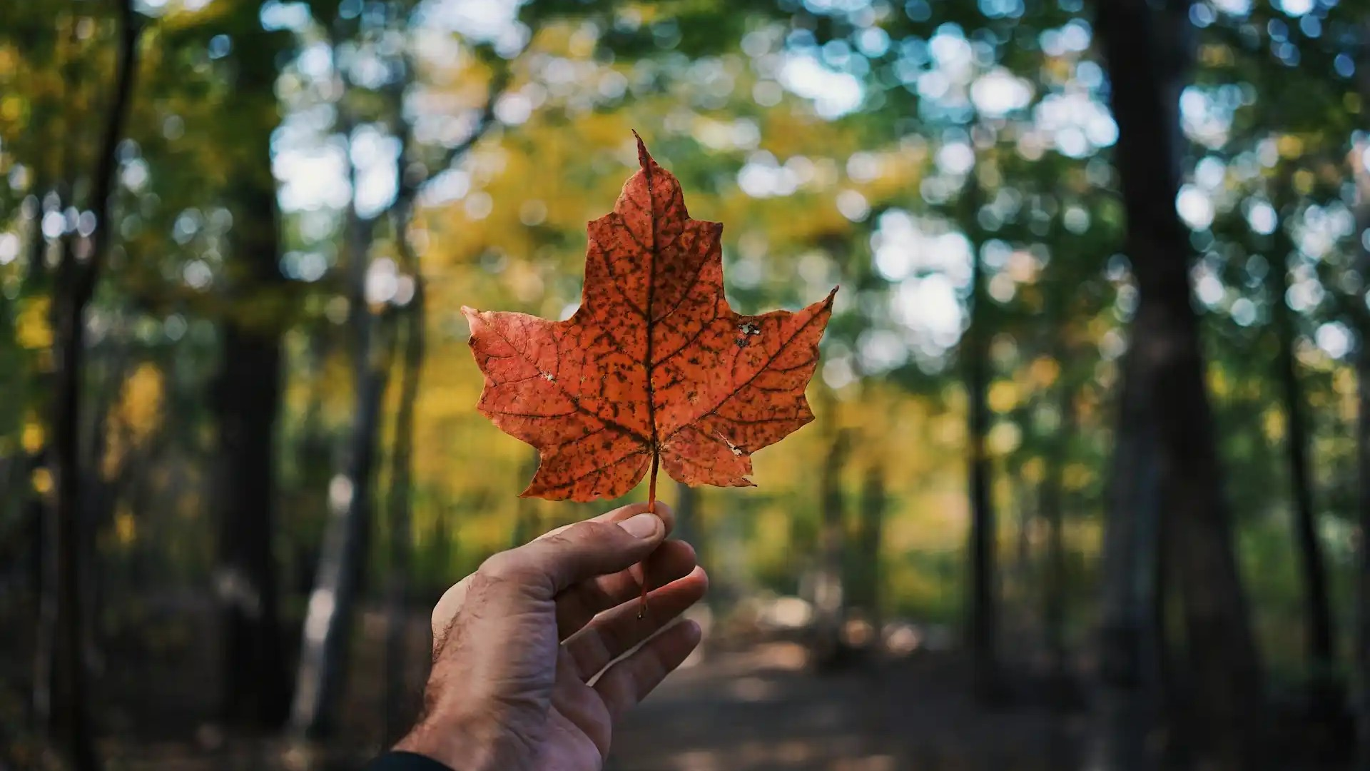 student-success-in-canada